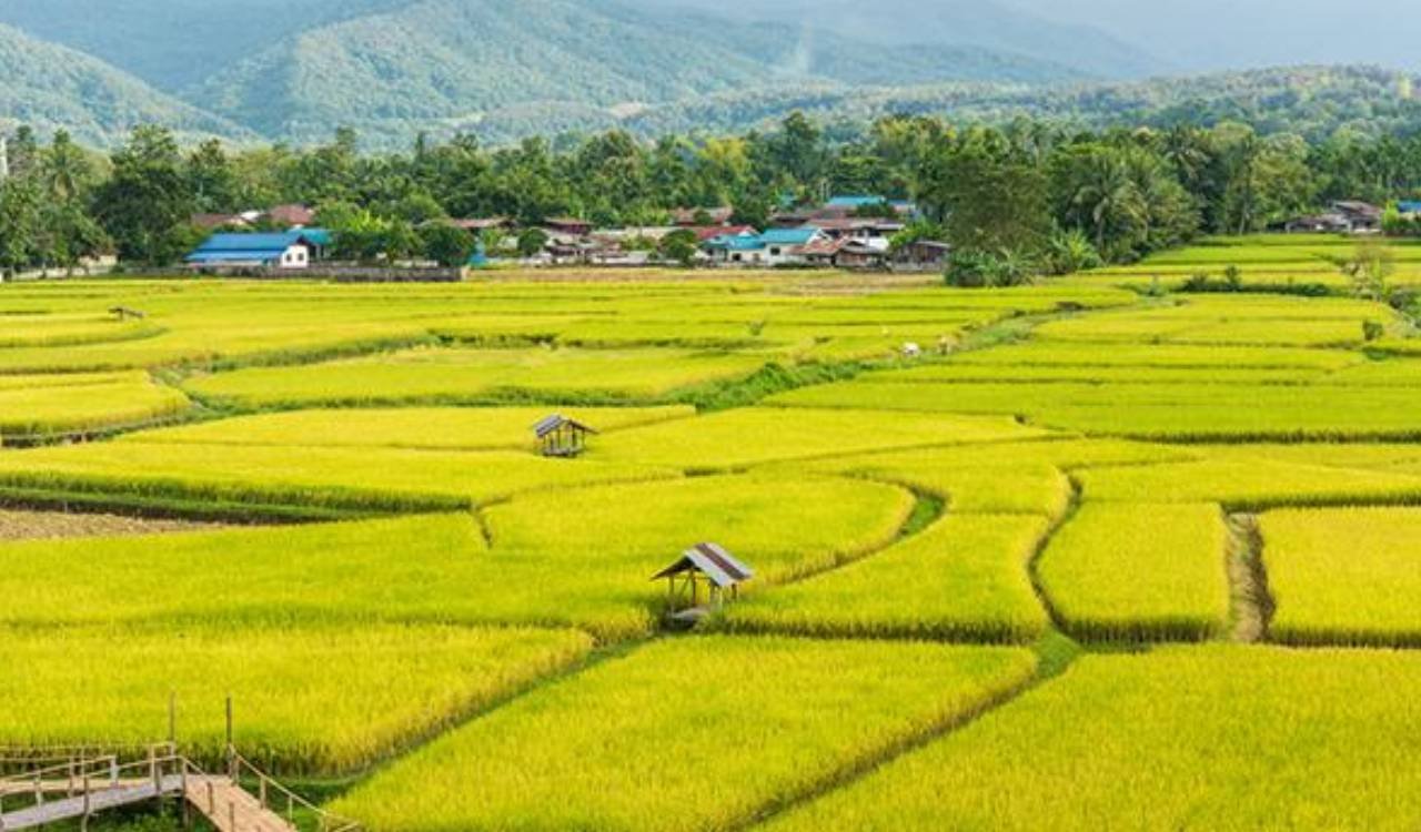 Thailand explore- Colossal Vacation